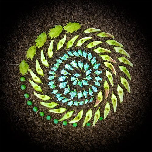 Earth Altar Photo by Laura Loescher Earth Altar Photo by Laura Loescher