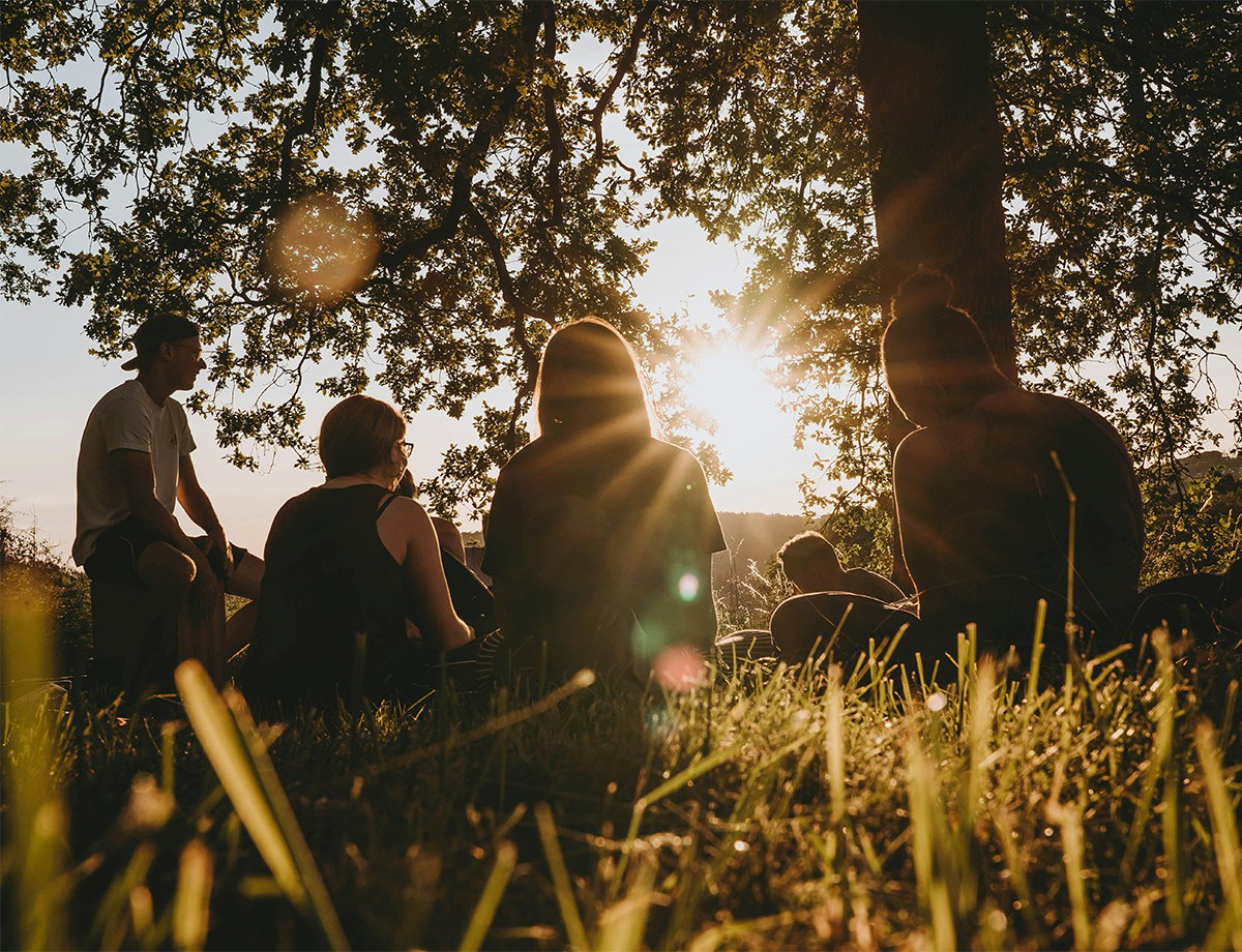 Silhouetted group of people sitting together outdoors under a tree at sunset Silhouetted group of people sitting together outdoors under a tree at sunset