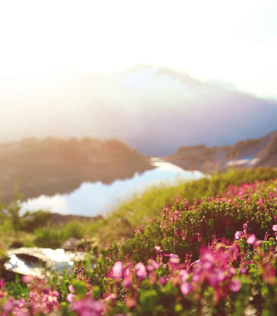 RP Images 550 x 627 (8)