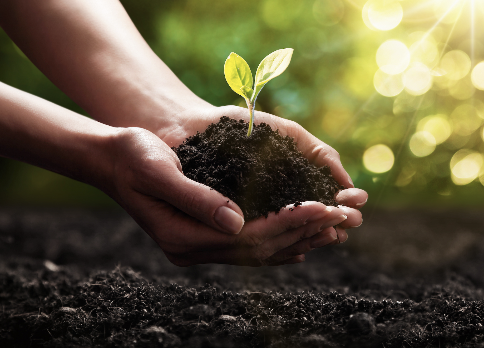 Screenshot 2025-08-26 at 2.45.00 PM Screenshot 2025-08-26 at 2.45.00 PM